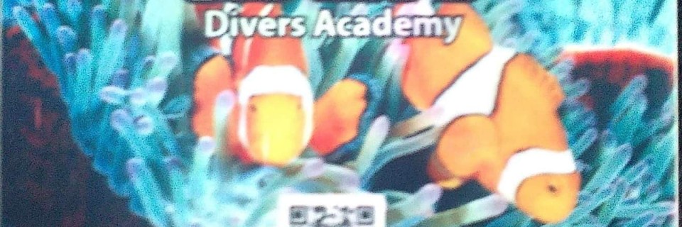 117933908_2460874050834574_6818270058994068871_n