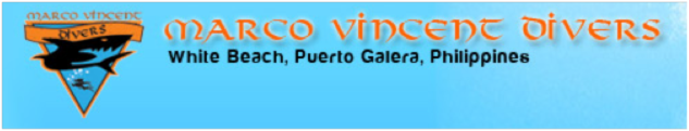 marco-vincent-divers