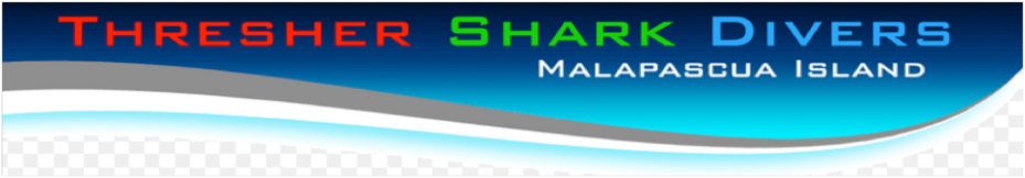 thresher-shark-divers