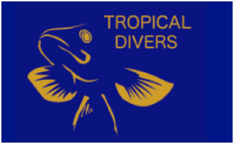 tropical-divers