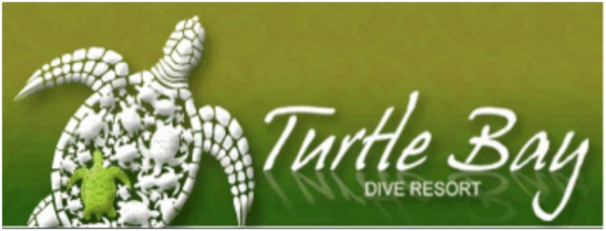 turtle-bay