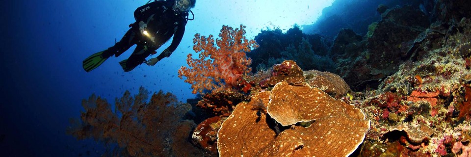 palawan(frombeachresortphilippinesdotnet)