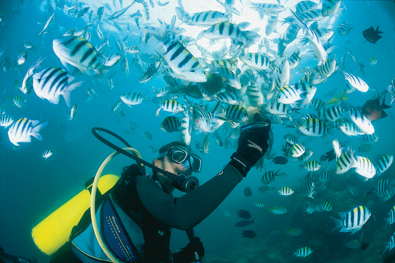 palawan(frompalawan4lessdotcom)