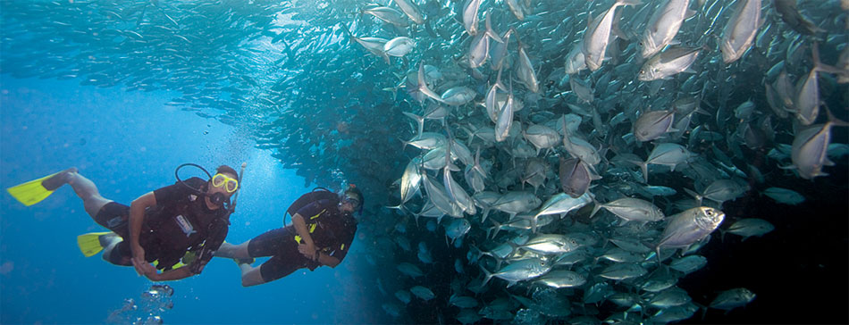 puertogalera(fromangelynsdiveresortdotcom)