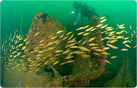 subicbay(fromseahorsetoursdotcom)