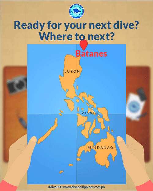 PCSSD_BestDiveWeekGIF_2