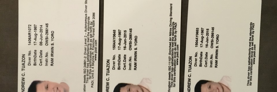 732E628F-6F34-4EC2-ADED-CA0541DEA8BF