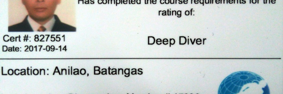 LF-SDI-Deep-Diver-Reverse