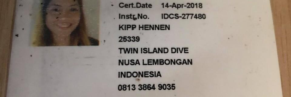 213153063_279848243914069_255114968220056722_n