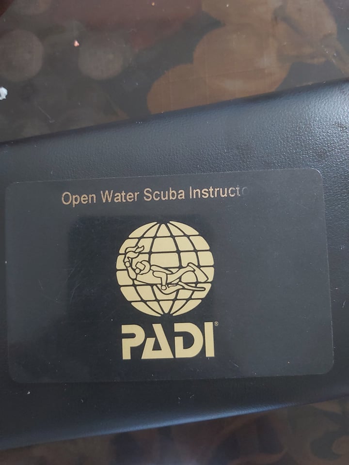 248544630_480691523081764_6006858646732468136_n