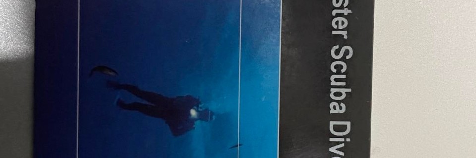 272702912_240480571591813_2312332454657360011_n