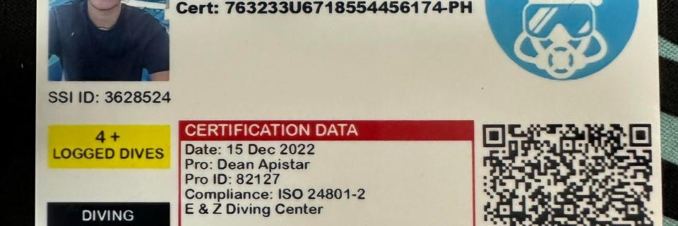 319828646_1931799007176973_2850704310309588941_n