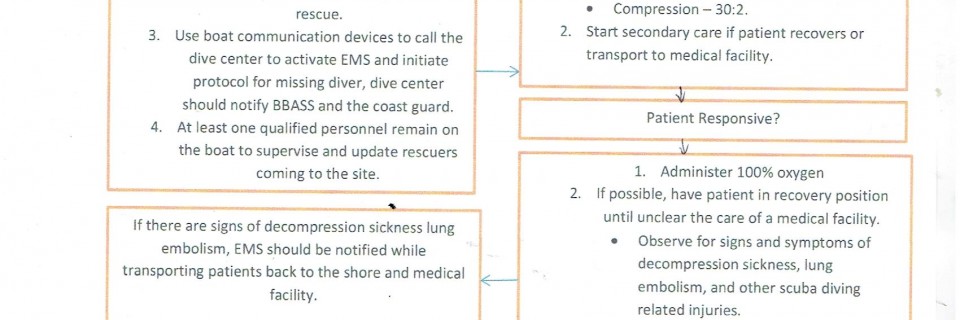 ACCIDENT-MANAGEMENT-PLAN-FOR-PCSSD