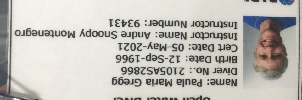 BB190059-C616-48DA-BF1E-2493403D6513