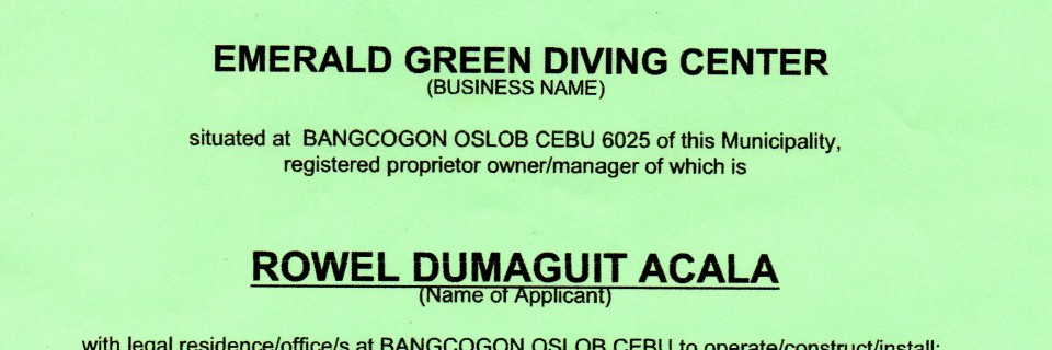 BusinessPermitSumilon