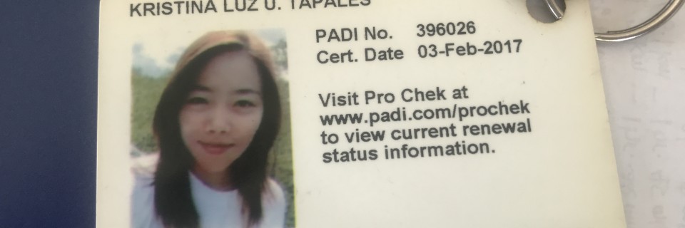 CCF1B96C-6DAA-404D-9C95-B664D4952A2A