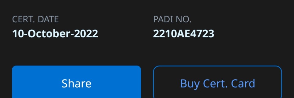 inbound2678690304403792156