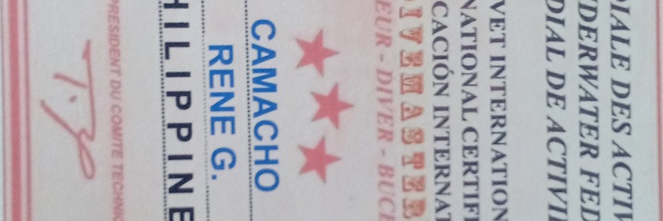 inbound3020834911088453504