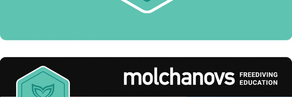 inbound35334134528869581851