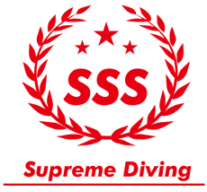 -작은-로고